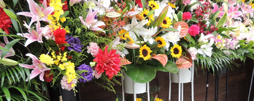 開店祝いイメージ