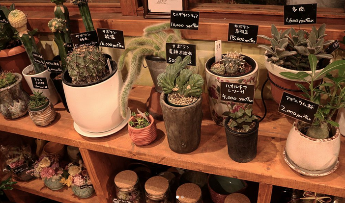 開店祝いイメージ8