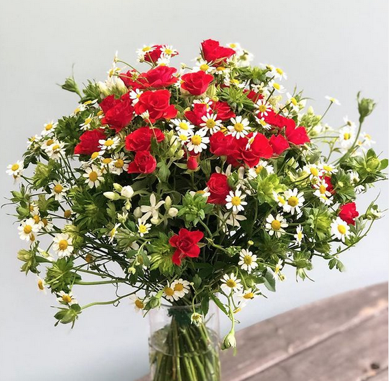 ドライフラワー1